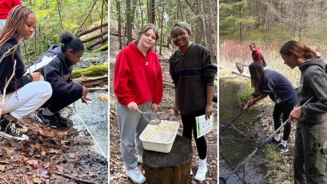Science students study local ecosystems